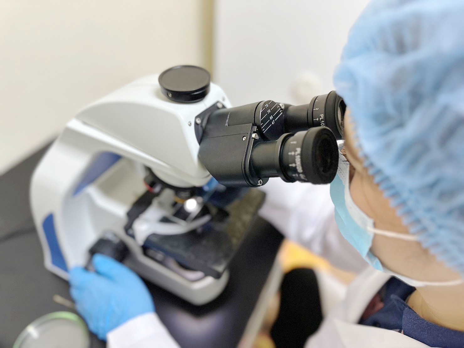 Lab